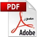 Read more about the article مهارات التوجيه والإرشاد في المجال المدرسي pdf